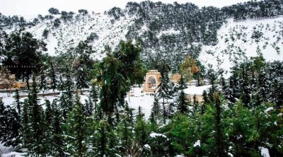 بداية تساقط الثلوج في مرتفعات سليانة و تالة و الكاف (صور )