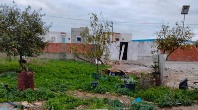 Manouba : Récupération d’un terrain domanial de 15 mille mètres carrés
