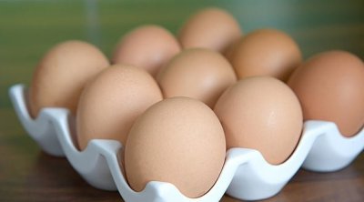 1100 مليم السعر الأقصى لبيع أربع بيضات للعموم‎‎