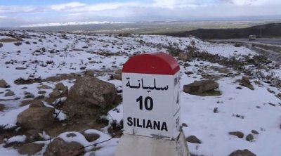سليانة : تساقط الثلوج يتسبب في إنقطاع حركة المرور