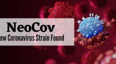 سلالة جديدة من كورونا:  تفاصيل المتحور 'نيوكوف'