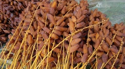 تونس تنال عضوية المجلس الدولي للتمور وتمثيل بلدان شمال افريقيا