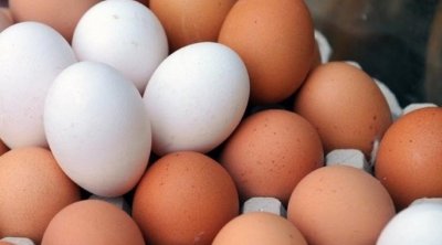 نقابة الفلاحين : أسعار البيض مهددة بالإرتفاع