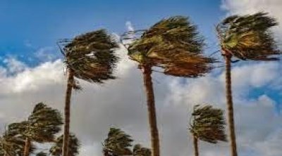 الليلة...تواصل هبوب رياح قوية جداً في أغلب المناطق