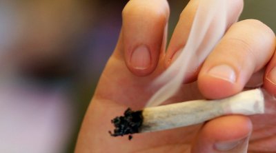 20.3 بالمائة من المساجين في تونس بسبب استهلاك ''الزطلة''