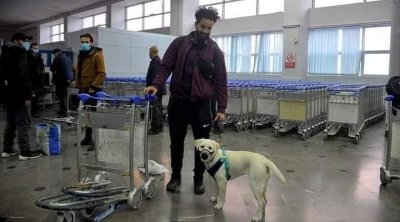 طالب تونسي قادم من أوكرانيا برفقة كلبه على متن طائرة الإجلاء (صور)