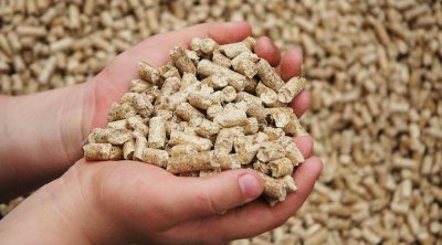 أسعار العلف في تونس قد ترتفع بسبب الحرب الروسية الأوكرانية 