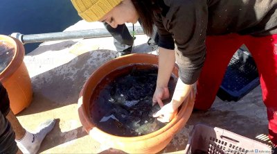 المنستير: خسائر مادية هامة في حريق بمؤسسة لتربية الأسماك بطبلبة 