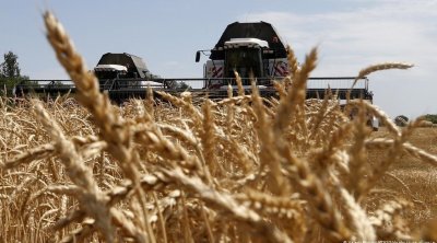 برنامج الغذاء العالمي : تونس من بين أكثر الدول عرضة لنقص امدادات القمح