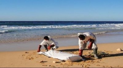 العثور على جثة محام ملقاة على الشاطئ بغار الملح 