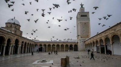 تونس... فتح 50 مسجدا جديدا و عدد المساجد يفوق ال6700