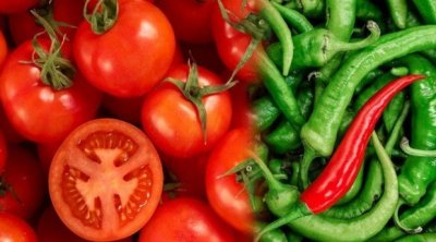 وزارة التجارة : إنخفاض أسعار الفلفل و الطماطم