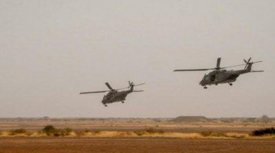 بينهم تونسي.. الجيش المالي يقتل 12 إرهابيا 