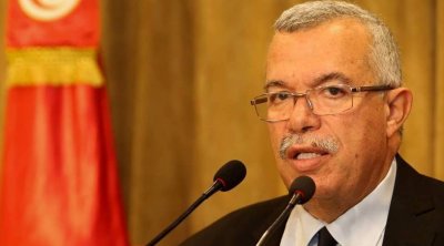 البحيري لسعيّد: تونس من انتخابات حرة إلى نظام البيعة... عاش الملك