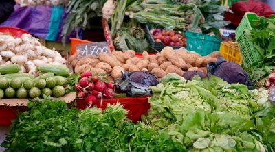 تونس : سعر البطاطا قد يصل إلى 300 مليم ...ومخاوف من خسائر فادحة للفلاح