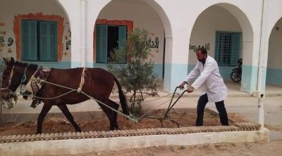 معلم يستخدم حمارا لحرث الأرض أمام تلامذته في إطار دعم نشاط بيئي (صورة)