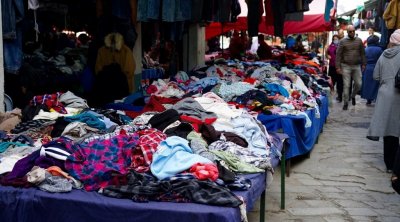 إرتفاع أســـعار ''الفريب'' 