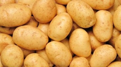 الزار : قد يتم تسجيل نقص في البطاطا بسبب رفض تخزينها 