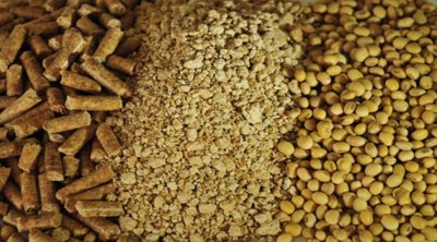 إرتفاع أسعار العلف : وزارة التجارة توضح 