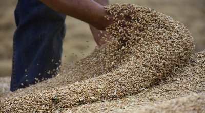 تونس مهددة بالمجاعة إذا إستمرت الحرب الروسية الأوكرانية