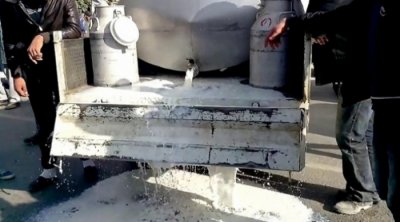 المهدية : مربو الماشية يسكبون الحليب أمام مقر الولاية ويمتنعون عن بيعه للمجمّعين