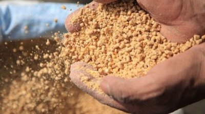 إلغاء قرار الزيادة في أسعار الأعلاف