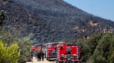 Une vague d'incendies dans 8 gouvernorats de la Tunisie