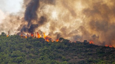 Siliana :  Mandat de dépôt contre un quadragénaire 