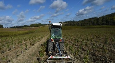 Siliana : Grève régionale dans l’agriculture