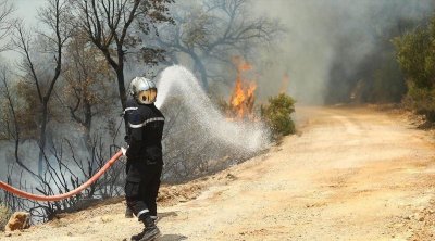 وزارة البيئة تُطالب بمنع تغيير صبغة الأراضي الغابية المُحترقة لمناطق فلاحية أو سكنية
