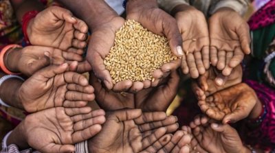 نقابة الفلاحيين :الامن الغذائي في خطر و قد نبلغ مرحلة الجوع