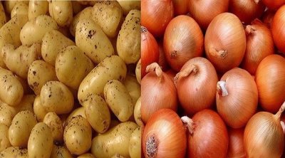وزارة التجارة تُحدد أسعار بيع البطاطا والبصل الجاف