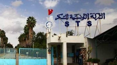 شركة السكر بباجة تستأنف نشاطها نهاية شهر سبتمبر 