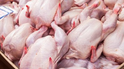 تسقيف أسعار لحم الدجاج و الإسكالوب