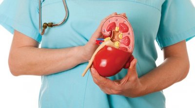 تونس تحتضن المؤتمر الإفريقي لجراحة الكلى والمسالك البولية