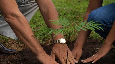 بعد موجة الحرائق..حملة وطنية لغراسة 5 مليون شتلة غابية