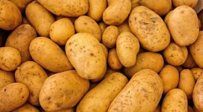 البطاطا قد تصل الى 5 دنانير للكغ الواحد