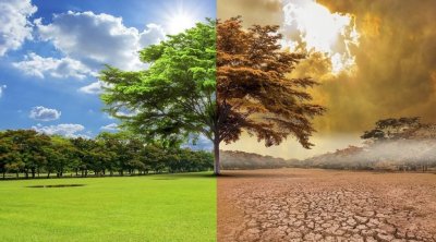 الأمم المتحدة تحذر من  ''نفاد الوقت'' مع تزايد تركيز غازات الإحتباس الحراري