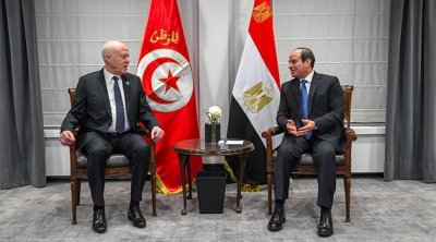 تفاصيل لقاء سعيد بالسيسي في الجزائر 