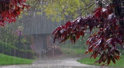 طقس اليوم : أجواء بمُواصفات شتوية 