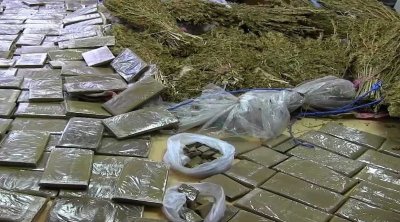 إسبانيا تضبط أكبر كمية ماريخوانا بقيمة 64 مليون دولار