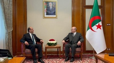 Malek Zahi reçu par le Premier ministre algérien