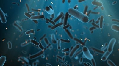 تونس : جرثومة ''الشيغيلا'' تحيل عدد من الأطفال على الإنعاش 