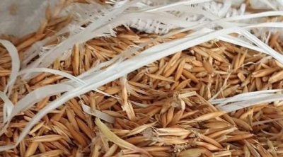 Saisie de matières premières agricoles subventionnées à Ras Jedir