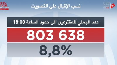 ماهر الجديدي: دعوات المُقاطعة أثّرت سلباً على نسبة المشاركة في التشريعية