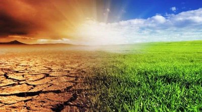 وزيرة البيئة تدعو التونسيين إلى المساهمة في الحدّ من التغيرات المناخية
