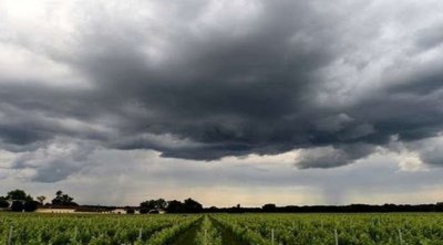 طقس الليلة: أمطار رعدية بهذه المناطق