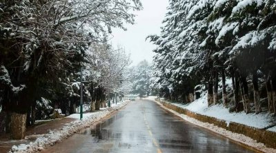 تونس : تواصل انخفاض درجات الحرارة و تساقط الثلوج بالمرتفعات الغربية