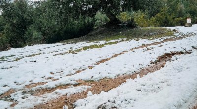 جندوبة : إنقطاع هذه الطرقات بسبب تساقط ثلوج 