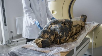 شرطة البيرو تعثر على مومياء يصل عمرها لثمانية قرون في حقيبة عامل توصيل